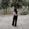 linyn24n