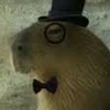 mr_capybara777