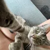 mmaarrrttinaa
