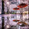 thanh_thanh010186