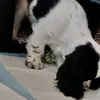 aatutbtmwn8