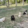 thefarmer150