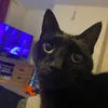 steveqec3fr