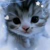nikki_x8