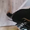 just_m.i.aa