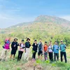 nhphan600