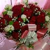 user8427225430014