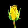 user8291698437136