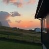 liv_nysted