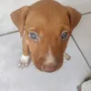 arthurbjj9870645