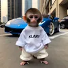 koyzzy1337