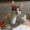 nguynthnhminh94