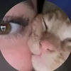 𝐙