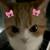 eufifia1