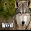 mz_konik