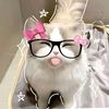 cats_cute_02_roblox_.8