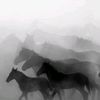 horsegal2025
