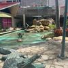 janett..velasco
