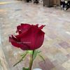 user48470177561097