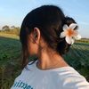 semilimboo