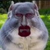 nishanthnh01