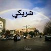 user53020056349780