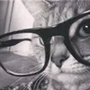 lunaris_phoebe