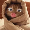 peiucute3
