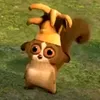 busmynut