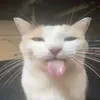 beeserk1