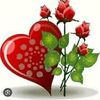 user7281776961337