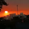 andrei_castro4