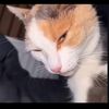 rzky_4738