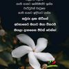 .sampath68