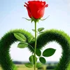 sk.jayed