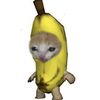 inara_random
