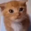 you_will_die6666