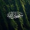 user3274052632077