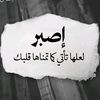 amormansour1