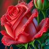 user7581227588676
