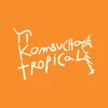 Pi Kombucha Tropical