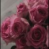 rawanal156