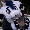 diesel_derg