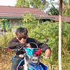 salamsyah10