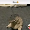 greg_i_love_greg