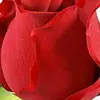 user9200409087148