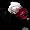user8879001761708