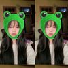 mel_fasb