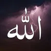 shex_hama9797
