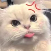 phuwnganhh.com